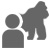 Gorilla Habituation