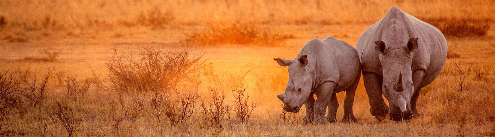 NAMIBIA