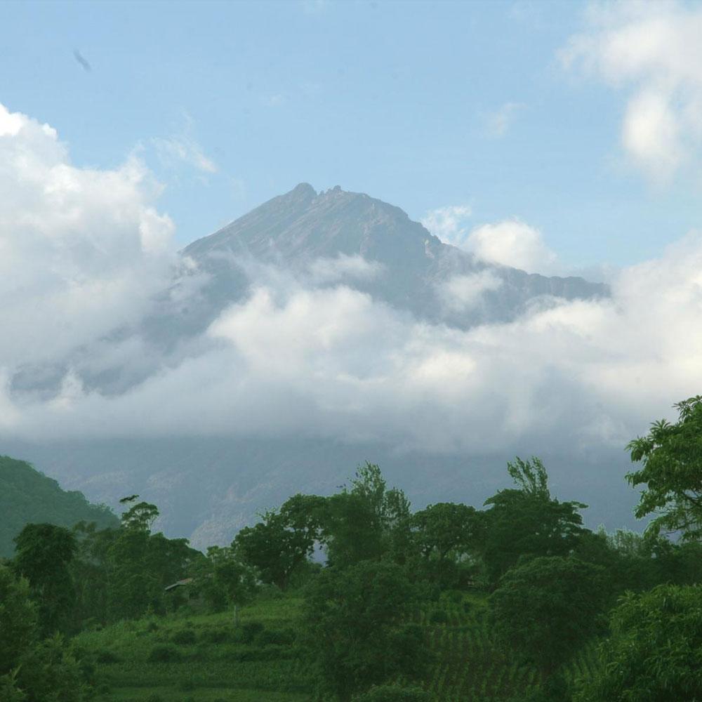 Arusha Arusha