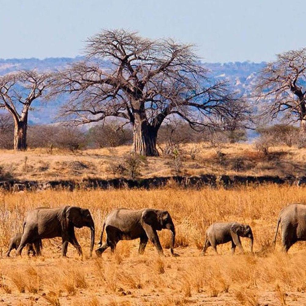 Lake Nakuru Nationalpark