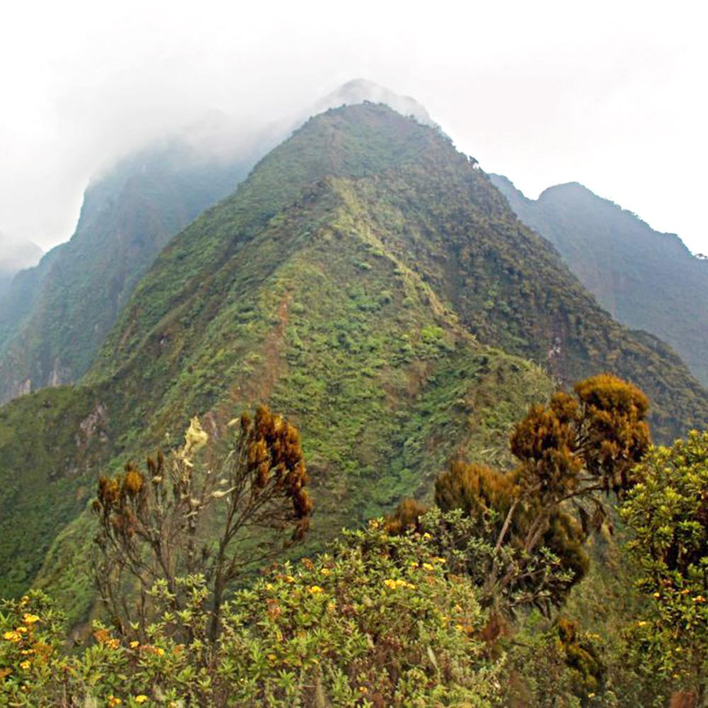 Mgahinga Gorilla Nationalpark
