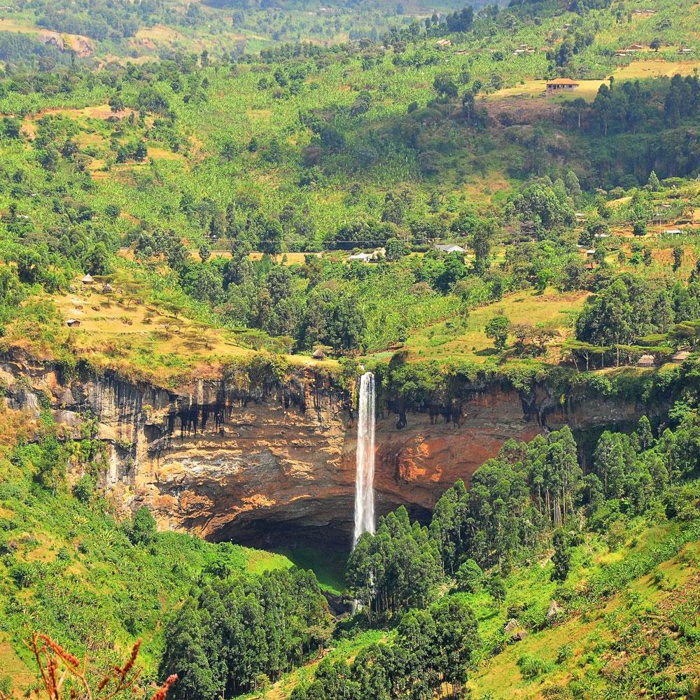 Mount Elgon Nationalpark