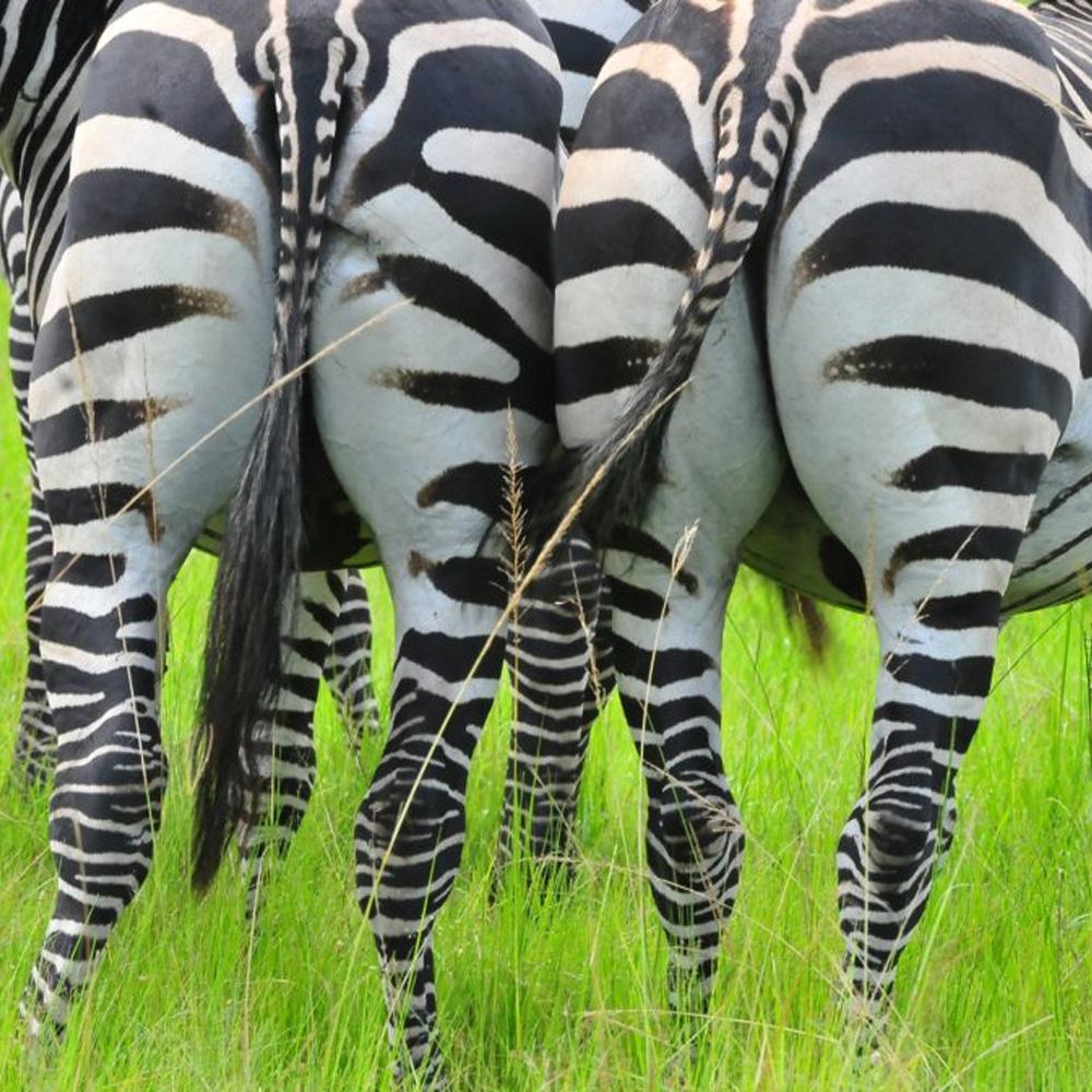 Lake Mburo Nationalpark