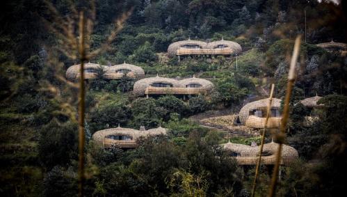 Ruanda-Tipp: Bisate Lodge