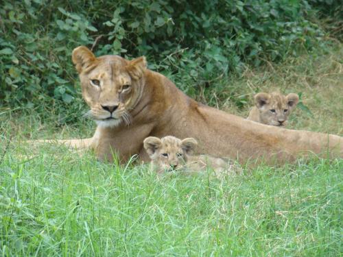 Bild 14
